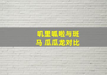 叽里呱啦与斑马 瓜瓜龙对比